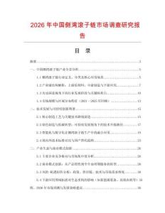 2026年中國側灣滾子鏈市場調查研究報告