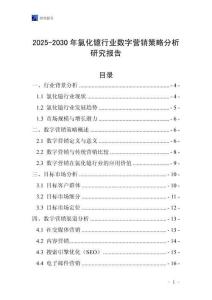 2025-2030年氯化鐿行業(yè)數(shù)字營銷策略分析研究報(bào)告