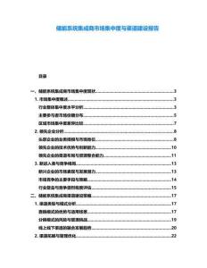 儲能系統集成商市場集中度與渠道建設報告