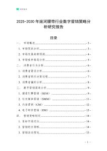 2025-2030年拔河腰帶行業數字營銷策略分析研究報告