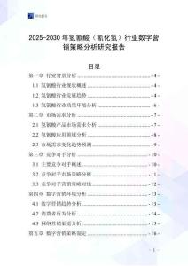 2025-2030年氫氰酸（氰化氫）行業(yè)數(shù)字營銷策略分析研究報(bào)告