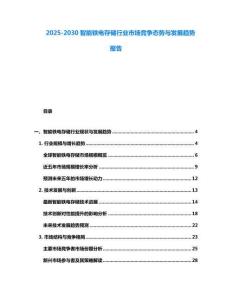 2025-2030智能鐵電存儲行業(yè)市場競爭態(tài)勢與發(fā)展趨勢報告