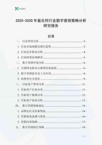 2025-2030年氯化鈣行業數字營銷策略分析研究報告