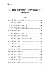 2025-2030年苯甲酸銨行業數字營銷策略分析研究報告