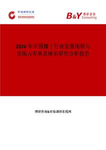 2026年中國撞丁行業(yè)發(fā)展現(xiàn)狀與市場占有率及排名研究分析報告