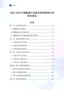 2025-2030年醋酸鐿行業數字營銷策略分析研究報告