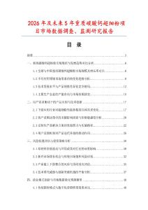 2026年及未來5年重質碳酸鈣超細粉項目市場數據調查、監測研究報告
