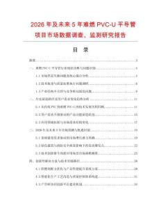 2026年及未來5年難燃PVC-U平導管項目市場數(shù)據調查、監(jiān)測研究報告