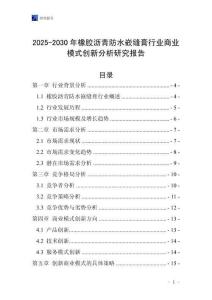 2025-2030年橡胶沥青防水嵌缝膏行业商业模式创新分析研究报告