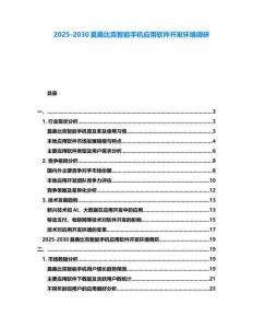 2025-2030莫桑比克智能手機應用軟件開發環境調研