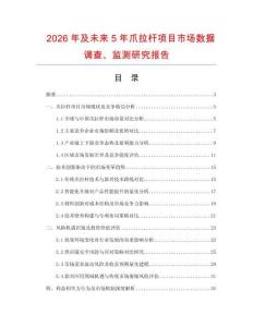 2026年及未來5年爪拉桿項目市場數據調查、監測研究報告