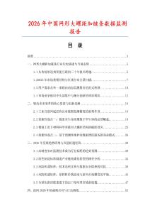 2026年中国网形大螺距加链条数据监测报告