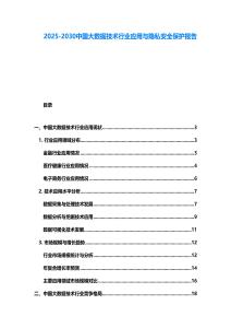 2025-2030中国大数据技术行业应用与隐私安全保护报告