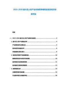 2025-2030嘉興無人機產業市場競爭格局及低空經濟投資評估