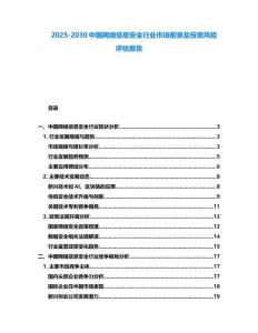 2025-2030中国网络信息安全行业市场前景及投资风险评估报告