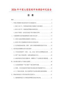2026年中國大型滾刷市場調查研究報告