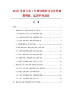 2026年及未来5年镍铬扁带项目市场数据调查、监测研究报告