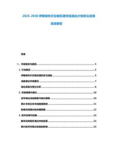 2025-2030伊斯坦布爾交響樂團市場演出計劃聽眾反饋改進報告