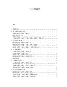 2026消費類