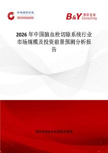 2026年中國腦血栓切除系統(tǒng)行業(yè)市場規(guī)模及投資前景預(yù)測分析報(bào)告