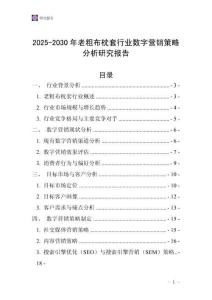 2025-2030年老粗布枕套行業數字營銷策略分析研究報告