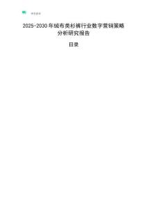 2025-2030年絨布類衫褲行業(yè)數(shù)字營(yíng)銷(xiāo)策略分析研究報(bào)告