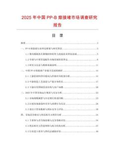 2025年中國(guó)PP-B熔接堵市場(chǎng)調(diào)查研究報(bào)告