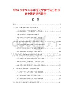 2026及未來5年中國元寶枕市場分析及競爭策略研究報告