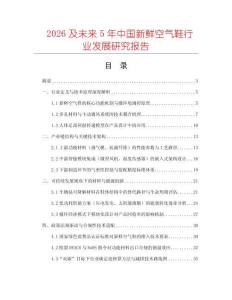 2026及未來5年中國新鮮空氣鞋行業發展研究報告