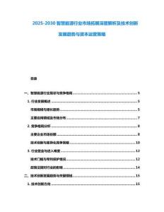 2025-2030智慧能源行業(yè)市場拓展深度解析及技術(shù)創(chuàng)新發(fā)展趨勢與資本運(yùn)營策略
