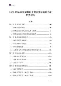 2025-2030年錸酸鹽行業(yè)數(shù)字營(yíng)銷(xiāo)策略分析研究報(bào)告