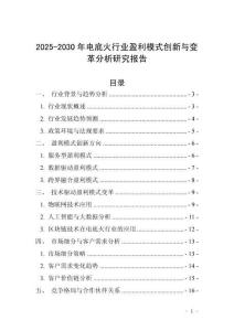 2025-2030年电底火行业盈利模式创新与变革分析研究报告