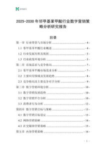 2025-2030年鄰甲基苯甲酸行業數字營銷策略分析研究報告