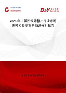 2026年中國芪蛭降糖片行業市場規模及投資前景預測分析報告