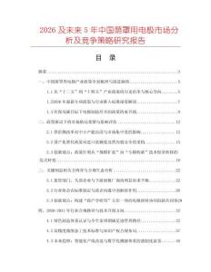 2026及未來5年中國蔭罩用電極市場分析及競爭策略研究報告