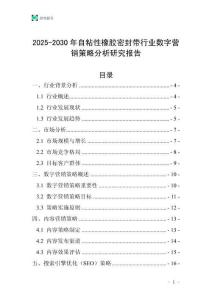 2025-2030年自粘性橡膠密封帶行業數字營銷策略分析研究報告