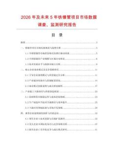 2026年及未來5年鐵鎳管項目市場數據調查、監測研究報告