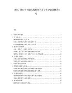 2025-2030中國鋼結構橋梁全壽命維護管理體系構建