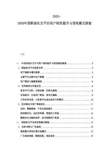 2025-2030中國職場社交平臺用戶粘性提升與變現模式探索