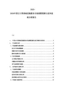 2025-2030中国云计算基础设施服务市场规模预测与竞争战略分析报告