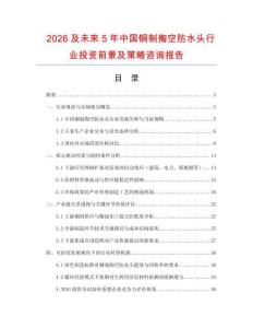 2026及未來5年中國銅制掏空防水頭行業(yè)投資前景及策略咨詢報告