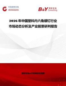 2026年中國塑料內(nèi)六角螺釘行業(yè)市場動態(tài)分析及產(chǎn)業(yè)前景研判報告