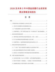 2026及未來5年中國監控器行業投資前景及策略咨詢報告