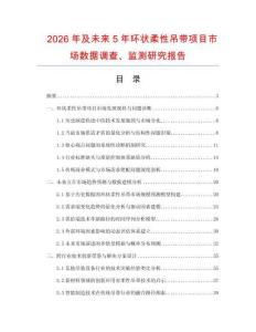 2026年及未來5年環狀柔性吊帶項目市場數據調查、監測研究報告