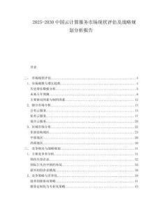 2025-2030中國云計算服務(wù)市場現(xiàn)狀評估及戰(zhàn)略規(guī)劃分析報告