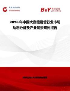 2026年中國大直縫鋼管行業(yè)市場動態(tài)分析及產(chǎn)業(yè)前景研判報告