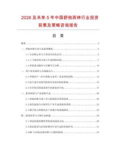 2026及未來5年中國舒他西林行業投資前景及策略咨詢報告