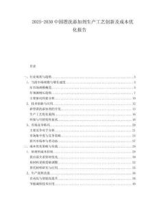 2025-2030中國漂洗添加劑生產(chǎn)工藝創(chuàng)新及成本優(yōu)化報告