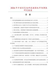2026年中國彩色低照度攝像機(jī)市場調(diào)查研究報告