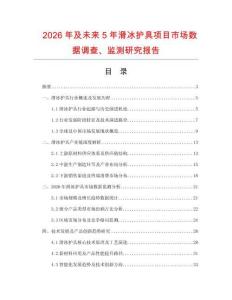 2026年及未來5年滑冰護具項目市場數(shù)據(jù)調(diào)查、監(jiān)測研究報告